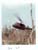 Huey3 Feb 1969