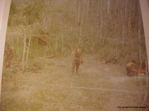 Jungle Shot