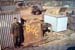 Unknown At B-2-5 Container