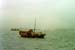 Hong Kong Harbor - Star Ferry in Left Background 